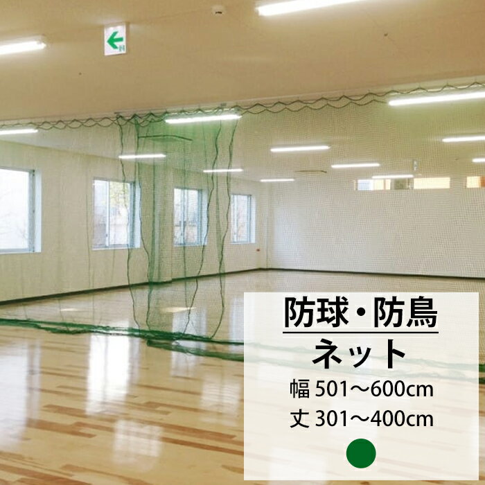 [最大10％OFFクーポンあり] ネット 網 防球ネット 25mm目 幅501〜600cm 丈301〜400cm [440T(400d)/36本..