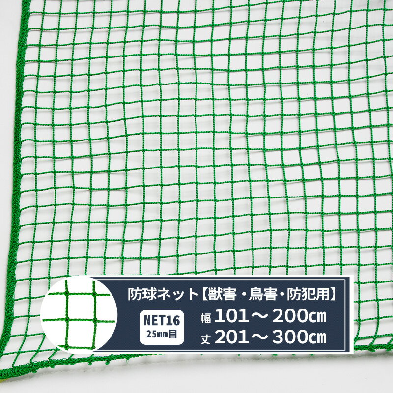 ͥå  եͥå 25mm 101200cm 201300cm [440T(400d)/60] NET16  ɵ Ļ  ...