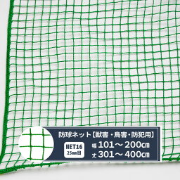 ネット 網 ゴルフネット 幅101～200cm 丈301～400cm [440T〈400d〉/60本 25mm目] 【NET16】 ゴルフ 防球 鳥害 野球 グラウンド 防犯 カラス除け ハト除け 猫よけ ゴミ置き場 JQ