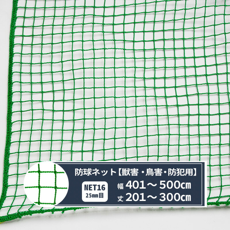 [1日限定10％OFFクーポンあり] ネット 網 ゴルフネット 25mm目 幅401〜500cm 丈201〜300cm [440T(400d)/60本] 【NET16】 ゴルフ 防球 鳥害 野球 グラウンド 防犯 カラス除け ハト除け 猫よけ ゴミ置き場 JQ その1