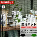 ネット 網 防犯ネット 25mm目 防炎 幅301〜400cm 丈201〜300cm【NET30】 盗難防止ネット 閉店後の防犯対策 侵入防止対策 商品棚 階段...