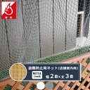 【NET51】防炎盗難防止ネット　2m×3m　［1000d/8本　25mm目］　防犯・安全・侵入防止対策に！/《約10日後出荷》