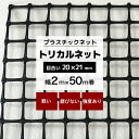 [10%OFFクーポン×本日限定] トリカルネット MS-2 幅2m×50m巻 目合い 20×21mm プラスチックネット プラスチック 網 落下防止 棚 ラック 階段 柵 フェンス 安全 カバー ディスプレイ イルミネーションネット 鳥よけネット 網 黒 ブラック JQ