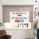 ロールスクリーン オーダー ロールカーテン 防炎 幅49.5~80cm 丈161~200cm 洗える 目隠し 間仕切り ナチュラル無地 TKTR 直送品 JQ