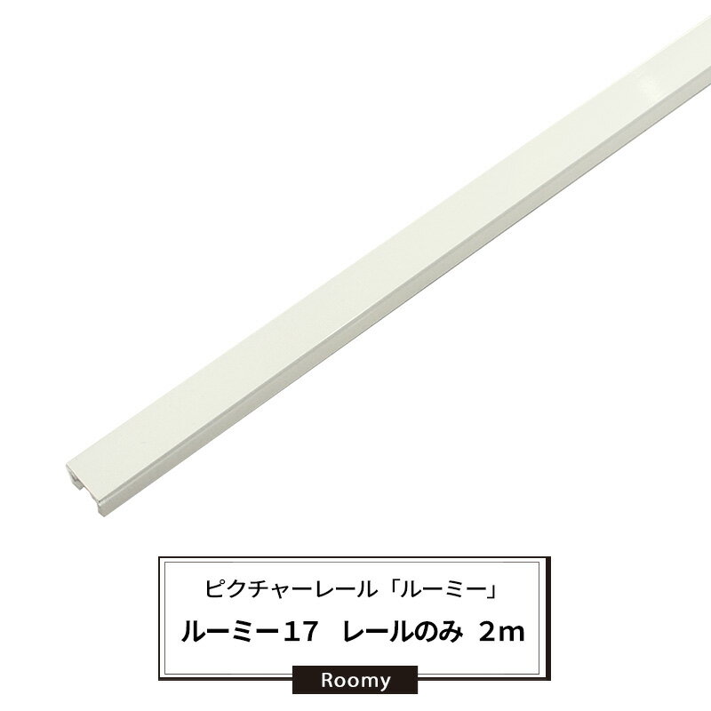 ピクチャーレール レール 2m ディスプレイレール インテリアレール 壁掛けレール 額縁レール 絵画 写真 インテリア 展示用 パネル 美術館 学校 リビング イベント ディスプレイ ルーミー17【PR172】 JQ