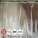 ビニールカーテン 既製サイズ 幅176cm 丈250cm 0.3mm厚 《即日出荷》透明 丈夫なPVCアキレスビニールカーテン【TT31】間仕切 節電 防塵 防虫 防寒 ビニールシート ビニシー ビニール カーテン 省エネ 冷暖房効率アップ