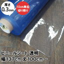 ビニールシート 透明 0.3mm厚 幅137cm 丈100cmからカット売り 透明シート デスクマット 透明ビニール 切売 サイズオーダー JQ