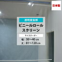 ビニールロールスクリーン 透明 0.3mm厚 幅30~40cm 丈81~120cm サイズオーダー ロールスクリーン ビニール ロールカーテン 透明 店舗 工場 病院 ベランダ 玄関 リビング 受付 カウンター 目隠し 節電 虫よけ 日本製 TT31 RSN