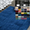 ラグ オーダーメイド 120×180cm 毛足15mm 長方形 楕円 約1.5畳 絨毯 厚手 冬用 夏用 ホットカーペット対応 オーダーメイド オーダーラグ おしゃれ 日本製 無地 シンプル おしゃれ シャギー ラグカーペット マイン Plane メーカー直送品 JQ