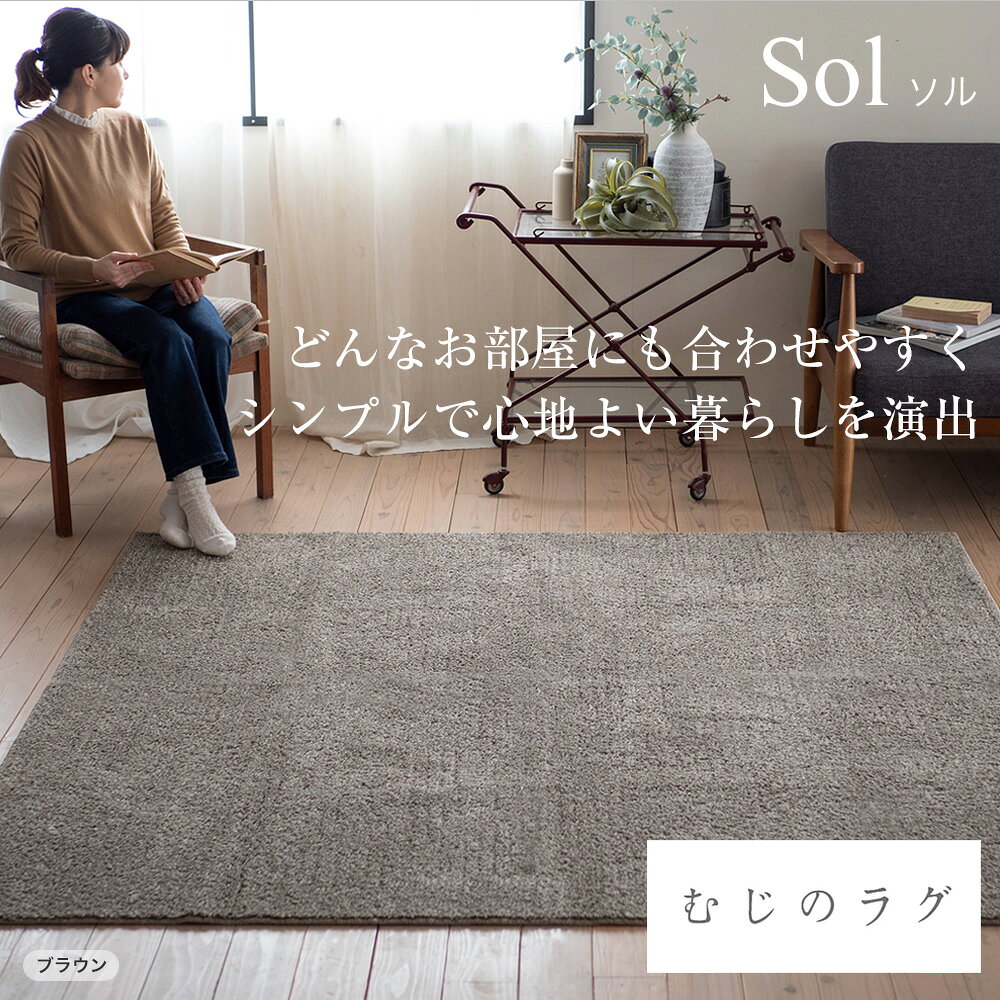 ラグ マット ソル 190×240cm 無地 防ダニ アレルブロック 床暖対応 ウォッシャブル アイボリー ブラウン グレージュ 日本製 メーカー直送品 JQ