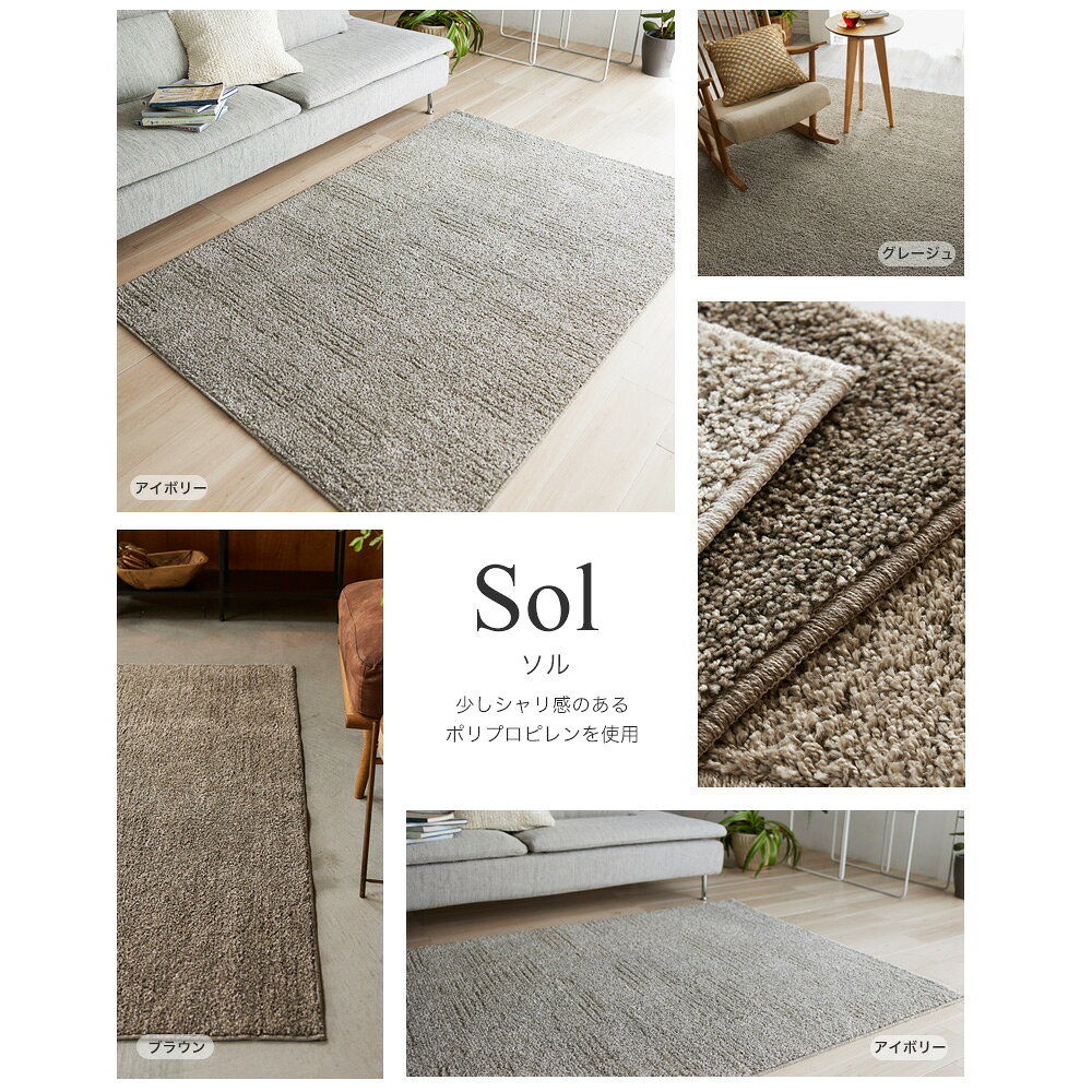 ラグ マット ソル 190×240cm 無地 防ダニ アレルブロック 床暖対応 ウォッシャブル アイボリー ブラウン グレージュ 日本製 メーカー直送品 JQ [2]