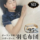 【10%OFFクーポン】【レビュー特典】HIAMOE ポーランド産マザーグース95% 170×210cm セミダブル (SD) 1.4kg【羽毛掛布団セミダブル...
