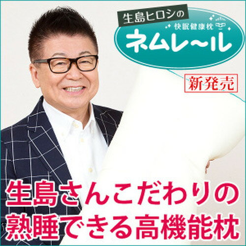 【実店舗販売NO1】王様 ギフト 低め 健康枕 枕 肩こり 首こり 横寝 いびき防止 日本製 洗える まくら 枕カバー 美容 パイプ プレゼント 贈答品 生島ヒロシのネムレール 2個セット