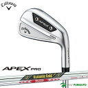 数量限定品 キャロウェイ APEX PRO アイアン 6本セット（I#5-9、PW）Dynamic Gold MID115(S200)／NS PRO MODUS3 TOUR 105(S)シャフト 2..