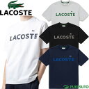 ラコステ LACOSTE 半袖 Tシャツ ヘビー