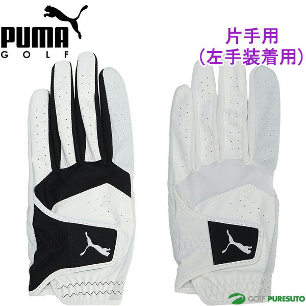 v[} St StO[u t@g U[ O[u Ўpi葕pj Y 042016  2024Ntăf PUMA GOLF Ep  uh