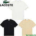 RXe LACOSTE  TVc Y TH0546-99 gbvX ^E[X JWA eB[Vc M[tBbg  uh