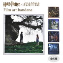 n[|b^[ ObY/ FLAPPER tbp[ tBA[g o_i /fB[X Y XJ[t lbNXJ[t obOXJ[t obO  唻 唻TCY ` ٓ ٓ  itL C~ CeA 55~55 55cm~55cm  G Harry Potter/ r