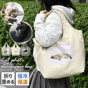 猫 ねこ ネコ エコバッグ トートバッグ バッグ グッズ 猫グッズ 三毛猫 キジトラ 黒猫 ベンガル 写真 フォト CAT DAY 猫モチーフ 保冷保温 コンパ...