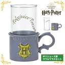ハリーポッター ポリジュース薬 マグ&グラスセット Harry Potter ハリポタ マグカップ マグ カップ コップ グラス ガラス 食器 大人 かわいい ...