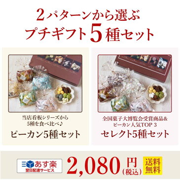 スイーツ プレゼント 食品 プチギフト【送料無料/あす楽対応】 約14万セット販売 WEB限定おすすめ 2パターンから選ぶチョコレートプチギフト 5種セット お菓子 詰め合わせ 贈り物 洋菓子 手土産 個包装 セット ピーカンナッツ ありがとう お世話になりました