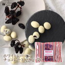 バレンタイン ホワイトレーズンチョコレート(220g/袋)