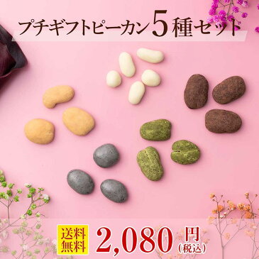 母の日 ギフト 2020 おしゃれ スイーツ プチギフト【送料無料/あす楽対応】 約14万セット販売 WEB限定おすすめ 2パターンから選ぶチョコレートプチギフト 5種セット お菓子 詰め合わせ 贈り物 洋菓子 手土産 個包装 セット ピーカンナッツ ありがとう お世話になりました