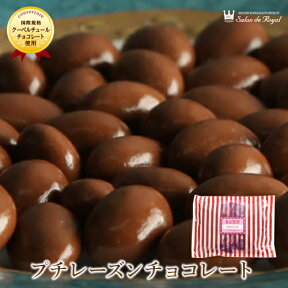 スイーツ プレゼント 食品 プチギフト チョコ お菓子 詰め合わせ お礼 洋菓子 手土産 個包装 セット ありがとう お世話になりました/プチレーズンチョコレート(220g/袋)