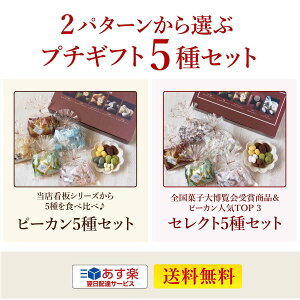 あす楽 スイーツ プレゼント 食品 プチギフト【送料無料/あす楽対応】 WEB限定おすすめ 2パターンから選ぶチョコレートプチギフト 5種セット お菓子 詰め合わせ 贈り物 洋菓子 手土産 個包装 セット ピーカンナッツ