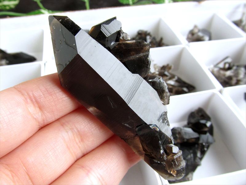 ●Mサイズ 1個売り【アーカンソー産黒水晶ミニクラスター(カード付き)】重さ約20g-40g 箱サイズ 約5.5cm×5.5cm 限定 艶々極上モリオン【アメリ...