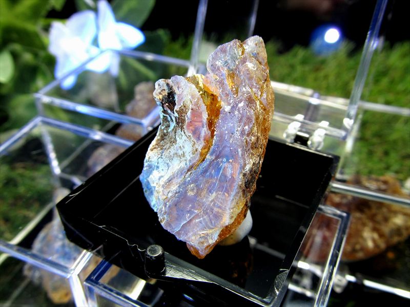 㤤ʼS ֥롼С  1 쥯ɸܤ ߥ˥奢뾽 ڥɥͥ ѥȡ ŷ