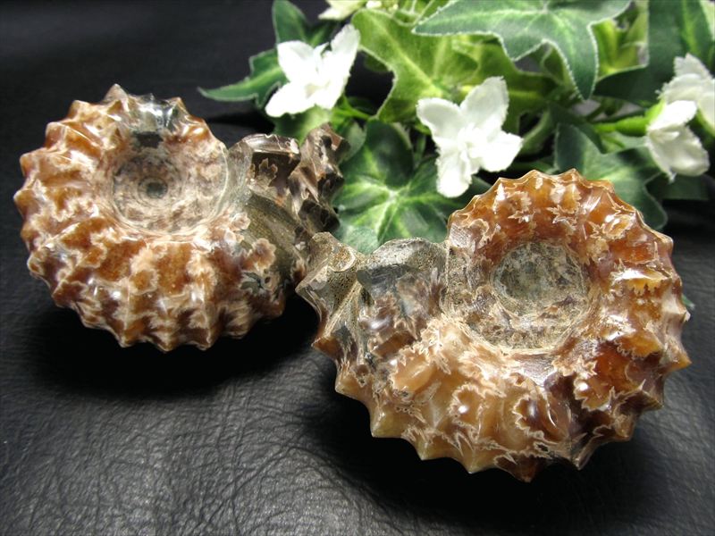 1ڥɥӥ쥤饹(ʥȲ)С80g-95g Ƥӹ ƥɥåͤ ο ۼԡڥޥ뻺