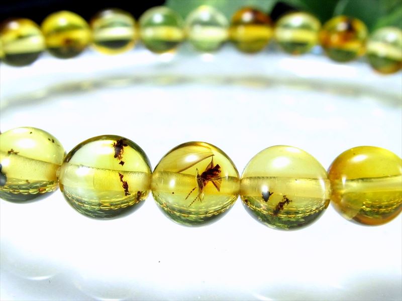 ●ハッキリ虫入り 【虫入りアンバー(天然琥珀)タンブルブレスレット】約6.5mm-7mm×27珠 古代の息吹が宿る樹液の化石 1点物【バルト海産】sai【bl-p】のサムネイル