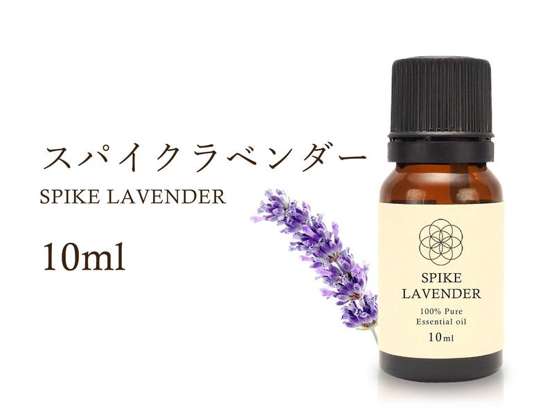 【スパイクラベンダー エッセンシャルオイル】10ml入り【ラベンダースピカ】【癒し・安定】Spike Lavender 100%Natural スパイクラベンダー精油 学名 Lavandula latifolia アロマオイル【航空…