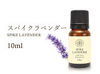 【スパイクラベンダー エッセンシャルオイル】10ml入り【ラベンダースピカ】【癒し・安定】Spike Lavender 100%Natural スパイクラベンダー精油 学名 Lavandula latifolia アロマオイル【航空便不可】