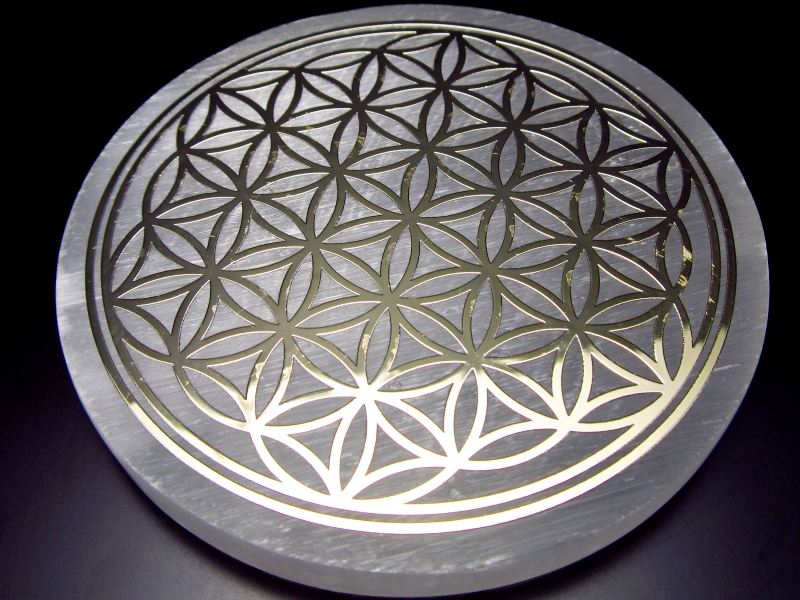 1ʥåĥ ʥ (ץ Ʃй) ե֡饤 뷿ץ졼ȡľ83mm߸8mm ...