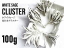 たっぷりお徳用パック 100g入り【ホワイトセージ 枝付きクラスター】スマッジング・薫香用ドライハーブ【カリフォルニア産】