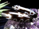 ●A至純天珠 【龍水蓮花三眼天珠(りゅうすいれんかさんがんてんじゅ) 】約37ミリ-39ミリ 1個売り【te-s】