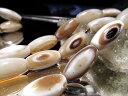 【激安宣言】【幅約10mm×縦約19mm-21mm 天眼 ホワイトベージュアゲート(瑪瑙)天珠型 一連】約38-40cm 極上天然模様【ブラジル産】【geki-...