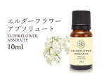 【エルダーフラワー アブソリュート エッセンシャルオイル】 10ml入り 魔除け・プロテクション Elderflower Absolute 100％Natural エルダーフラワーアブソリュート精油 学名 Sambucus nigra アロマオイル