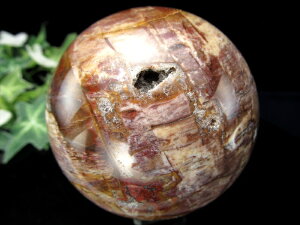 瑪瑙アリ!【珪化木 丸玉(台座付)】直径69mm 重さ448g 木の化石 ペトリファイドウッド 博愛・真心・希望 一点もの【マダガスカル産】