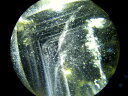 ●天翔ける虹の架け橋 更にファントムも 5A【ラダー・虹 シトリン 丸玉 台座付き】直径約47mm 重さ143.1g 金運 財運 幸運 お守りにも 一点もの【ブ...
