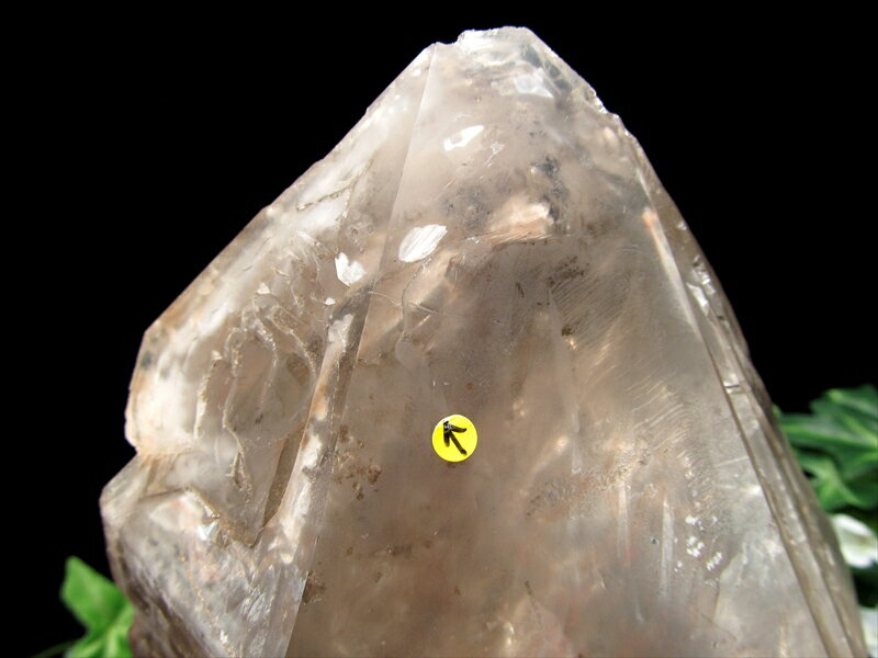 希少な水入り原石【水入り スモーキーエレスチャルクォーツ (ワニ水晶) 原石 台座付】最大幅161mm 重さ約1585g 強力な癒しの力 天使のギフト 一点物【...