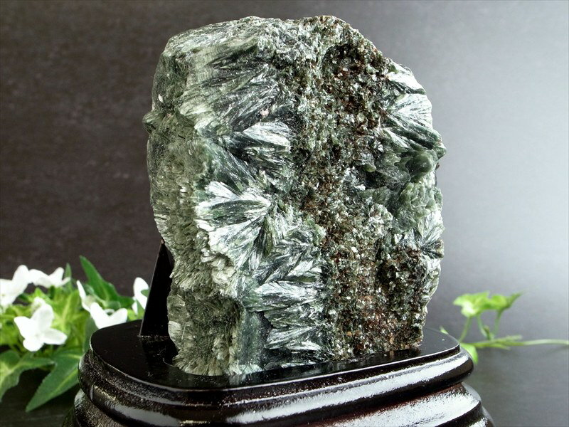 超レア!流通量極少結晶 天使の羽根のような美しさ【セラフィナイト (クリノクロア) 原石 木製専用台座付】重さ1060g キラキラ輝く集合体原石 1点物【ロシア...