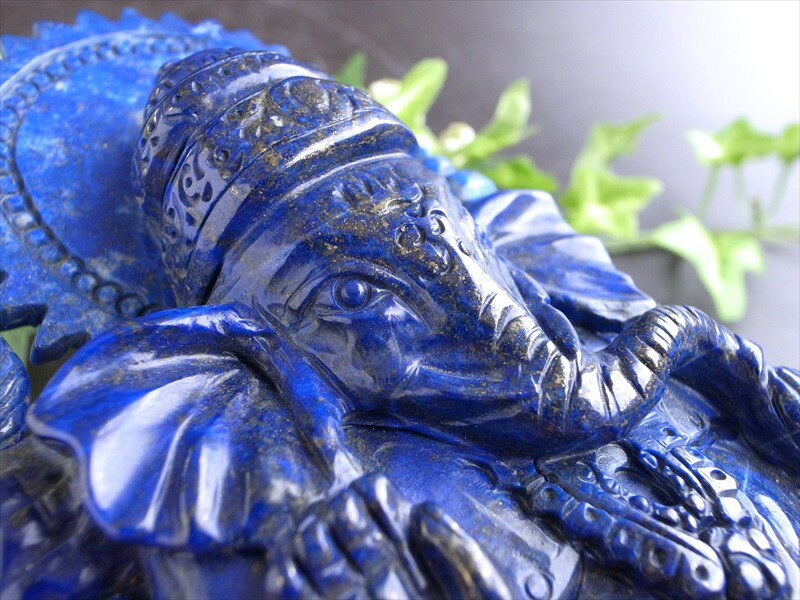 ŹƬŸۤ٤ƤξɤǤʧ󤭿ݡڥԥ饺 ͡ ʪ۽Ť499g ⤵163mm 9 ԥ饺꤬ ؤγΤƻ...