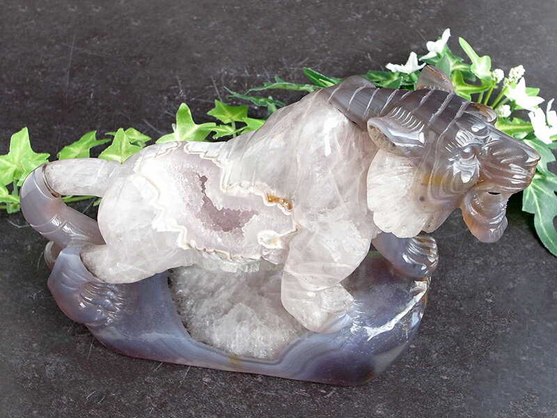 ŹƬŸ۾и˽ɤ뿹βԤδ ھи ȥ Ħʪ۽Ť1144g 193mm Υ   &徽 ʡ⤿餹д...