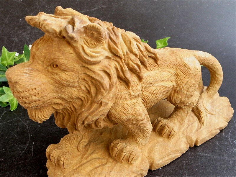 ڥ֥åե饤ǡݥ5ܡʪμ ﵯʪڥ㥹ѡ 饤 Ħʪۺ 220mm Ť 1399g ҤĦ ŷФμ...