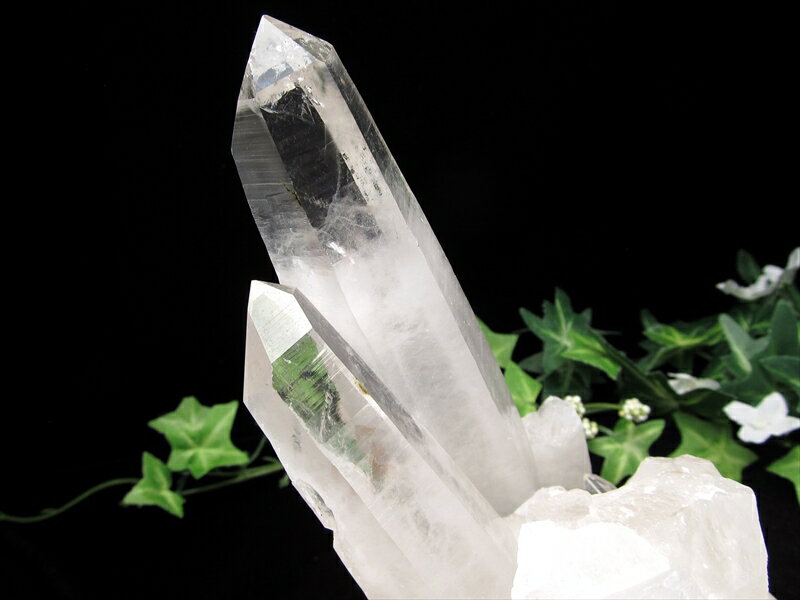 եȥꡪڥҥޥ仺 徽 뾽 ա۽Ť 1463g ҥޥο©ɤ եȥؤ ؤʥͥ륮 ...