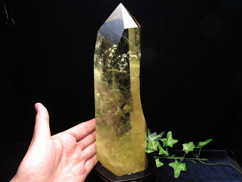 ŹƬŸۡ祵 ڥȥ ݥ ʪ ա۹⤵200mm Ť1797g ǻȯ 徽 11 Ρڥ֥...