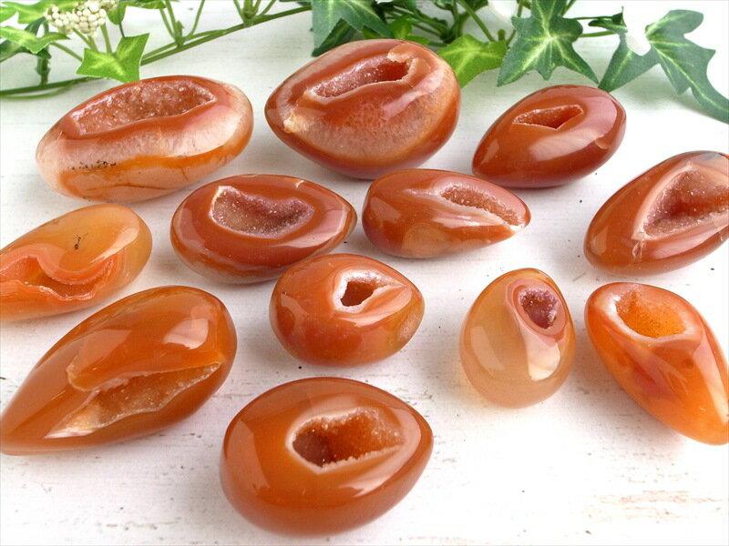 ������P5�ܡۡھи������ɥ��˥��� �ݥ�å��奿��֥� �ɥ��å׷��۽Ť�20g-30g 1����� �ּ����� �������Ɀ�徺�Τ���� ��������ॵ������ 8�����...